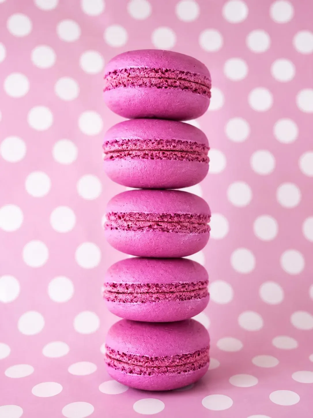 Macarons de framboesa, conchas cor-de-rosa, Abelinha Feliz, Setúbal