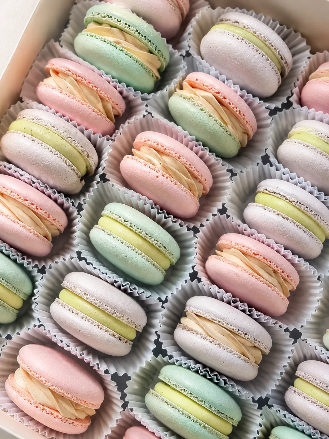 Caixa de 6 macarons sortidos em tons pastel, Abelinha Feliz, Setúbal